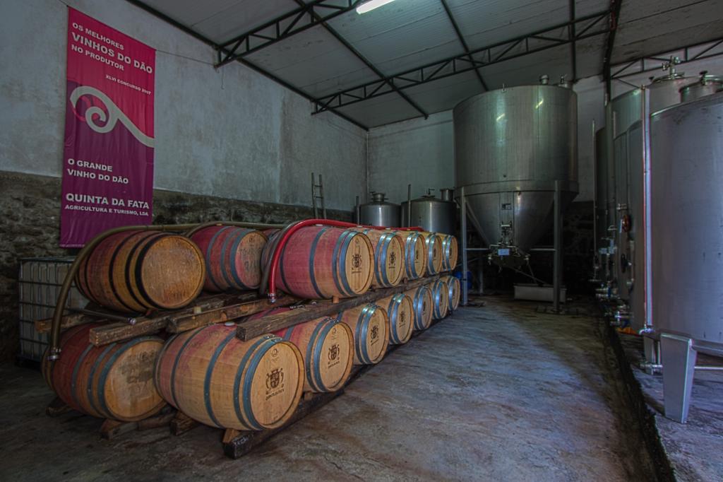 Willa Quinta Da Fata Nelas Zewnętrze zdjęcie